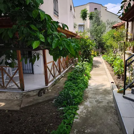 Ta Deniz Ve Doga Ile Icice Triplex *